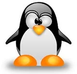 vector_tux.864e6cdcc23e