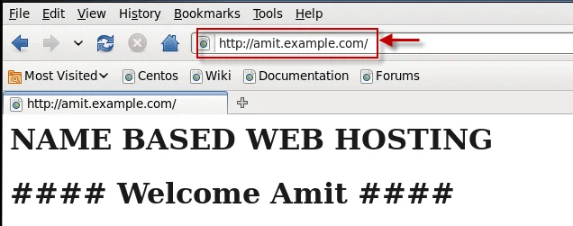 name_based_web_hosting